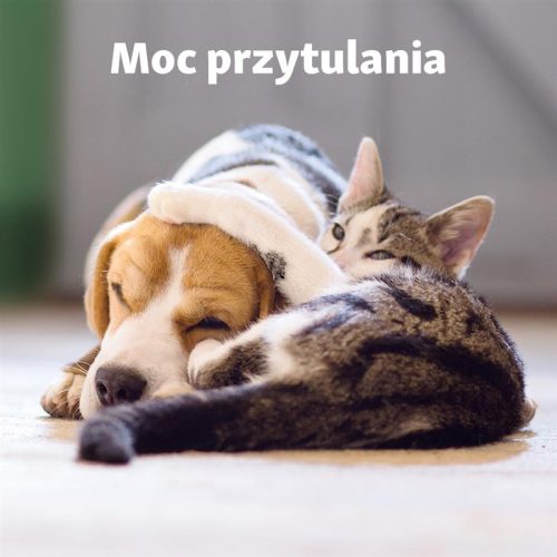 250117-MZoo-01-21-Post-Dzien-Przytulania-1080x1080